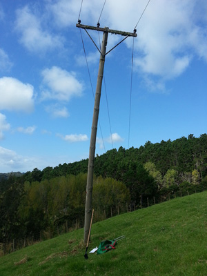 4-wood-pole-rural-NZ.jpg